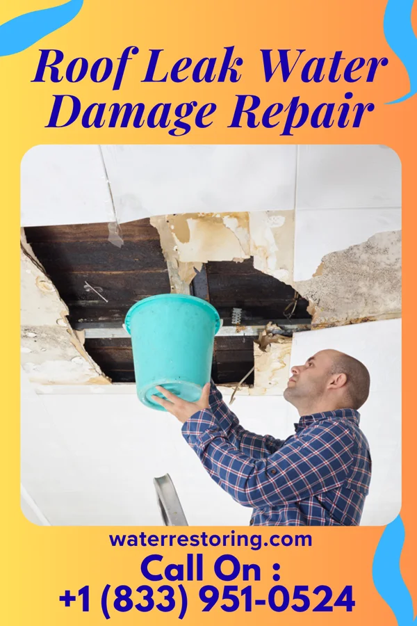 Roof Leak Water Damage Repair in Monmouth, IL